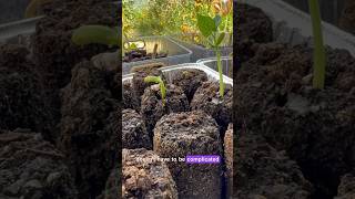 Starting Seeds Outdoors with Compost Soil Blocks [upl. by Aihsot575]