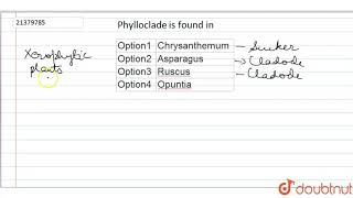 Phylloclade is found in [upl. by Enyale365]