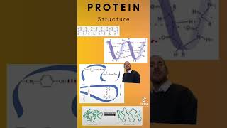 Protein structure  what happens when you cook an egg [upl. by Rebmetpes117]