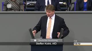 Steffen Kotré AfD quotStrom aus Windenergie ist keine Alternativequot [upl. by Ezequiel278]