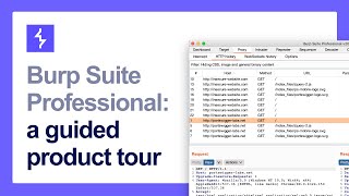 A guide to the Burp Suite user interface [upl. by Yecies87]