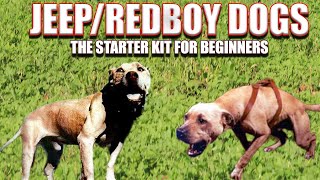 Jeep Redboy The Starter Kit Of Pit Bulls [upl. by Dulcie]