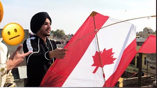 Kites Flying on Basant 2  BIR RAMGARHIA [upl. by Atteugram]