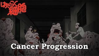 Hataraku SaibouCells at Work Cancer Progression S1E0607 Spoilers [upl. by Irrok]