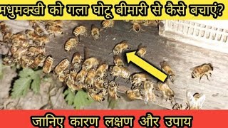 मधुमक्खी को गला घोंटू बीमारी से कैसे बचाएं how to peotect bees from acarine disease 🤔 [upl. by Rowe]