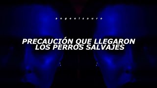 Perros Salvajes  Daddy Yankee Letra [upl. by Loy669]