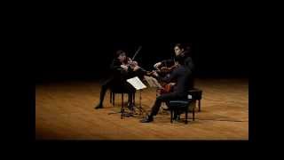 Mozart Divertimento K 563 I II and VI  Ensemble Ditto [upl. by Jea]