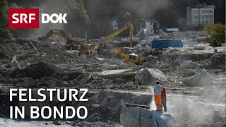 Der Bergsturz in Bondo und seine Folgen  Klimawandel in der Alpenregion  Reportage  SRF [upl. by Druci]