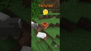 Minecraft 1 Block vs 500 Blocks TNT 😰😰😰 [upl. by Anivlem]