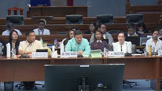 Part 2 Senate Hearing on Charter Change Hearing 2024 100 Foreign Ownership Philippines [upl. by Ahseyd58]