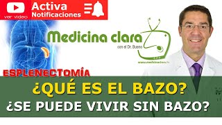 ¿Se puede vivir sin el bazo Esplenectomía Quitar el bazo  Medicina Clara [upl. by Ayetal]