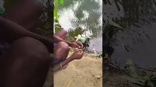 আজ কাকড়া ধরতে গিয়ে👀🕷️🤔ShortsVideoViral [upl. by Pejsach]