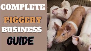 How to Start a PIGGERY FARMING BUSINESS With Zero or Little Capital [upl. by Hayidan]