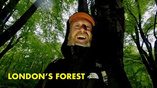 Ghosts of Epping Forest  a walk in Londons forest 4K [upl. by Xanthus]