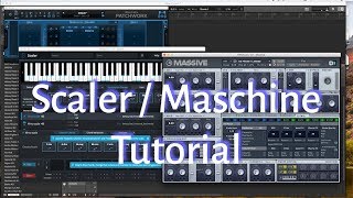 Scaler Massive Tutorial  How to Use Scaler in Maschine with Blue Cats Patchwork 1 [upl. by Yorke]