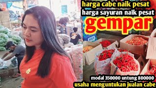 harga cabe naik terus hari inisayuran usahamenjanjikan jualan cabe13 des 2024 [upl. by Sung]