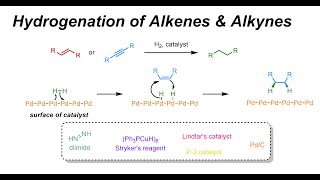 Hydrogenation of Alkenes amp Alkynes IOC 32 [upl. by Madonia717]