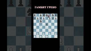 Гамбит Греко итальянская партия шахматы chess chessgame italy shorts [upl. by Cristen757]