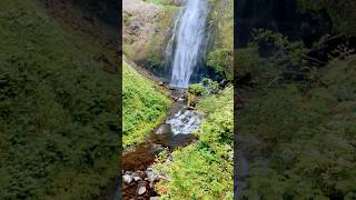 falls oregon [upl. by Annig845]