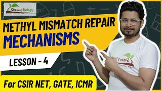 Methyl mismatch repair  DNA mismatch repair mechanism [upl. by Eselahc]