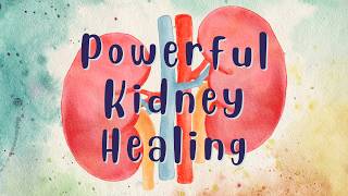 ❋ Kidney Healing and Regeneration  Renal and Urinary System Health  Gentle Rain Sounds [upl. by Lucais]