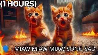 miaw miaw miaw song sad 1 hours [upl. by Joelle369]