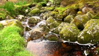 Mountain River with Water Sounds No Music [upl. by Goldarina]