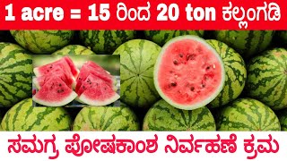 Integrated Organic Fertilizer Management for Watermelon Crop  NPK  Activmax  Activzyme  AMC [upl. by Noyek779]