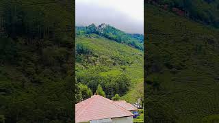 Hill station  Aranyaka Resort  Munnar  Tourist place in Munnar keralatourism trendingshorts [upl. by Claudina442]