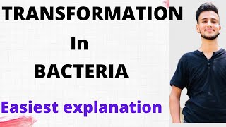 TRANSFORMATION IN BACTERIA  Microbiology [upl. by Ennazor]