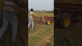 Ripar demo kare huye powerweeder rotavator powertiller powertiller cultivators ytshorts [upl. by Kazimir]