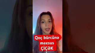 Qoç bürcünə məxsus çiçək😍burçlar astrology burclerbugun qocburcu [upl. by Aelahs]