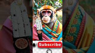 Sinna Dora Bangula Mida SongFolk SongsShortsViralTreandingMonkey [upl. by Yecam]