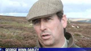 Bumper grouseshooting boosts rural Britain [upl. by Rehprotsirhc]