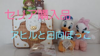 【セリア購入品】 無印良品の店舗に行ってみた アヒルと日向ぼっこ🐥 [upl. by Page]