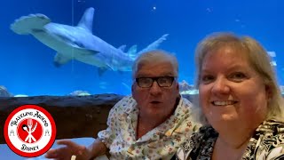 Orlando Magical Dining at SeaWorlds Sharks Underwater Grill Full Review amp Experience [upl. by Frame]