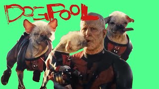 Dogpool  Deadpool and Wolverine  Green screen video [upl. by Castra]