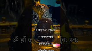 MahamrityunjayaMantraBySureshWadkarStatusVideo mahamrityunjayamantra shivmantra shorts om [upl. by Greysun346]