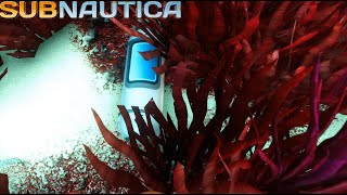 Subnautica Just found a Time Capsule quotSup Buddyquot [upl. by Nonahs698]