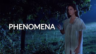 Cinematography Of Phenomena [upl. by Neiv891]