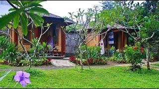 Timbis Homestay Nusa Dua Bali [upl. by Annnora]