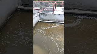 Wastewater treatment plant agriculture etp highlights effluent water [upl. by Wynnie525]