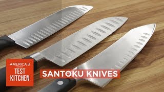 Equipment Review Best Santoku Knives amp Our Testing Winners [upl. by Esilehs7]