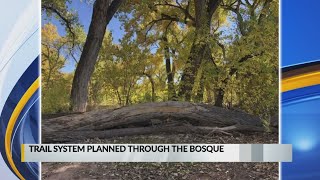 Los Lunas plans to create Bosque trail system [upl. by Efioa]