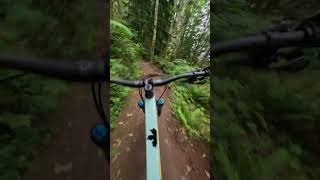 Best flow trail in the Seattle Area [upl. by Fritze]