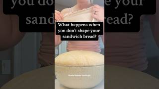 Not shaping my sourdough sandwich bread breadmaking sourdoughbread shaping baking [upl. by Jerusalem281]