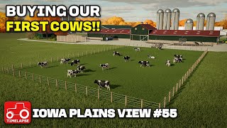 BUILDING THE COW SHED AND BUYING COWS Iowa Plains View FS22 Timelapse Farming Simulator 22 Ep 55 [upl. by Atiluj]