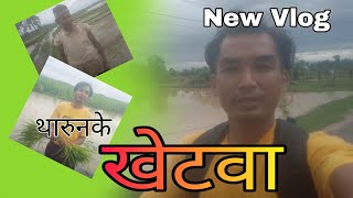 बर्खा खेति  barkha kheti  Vlog by Sangam Chaudhary [upl. by Lethia]