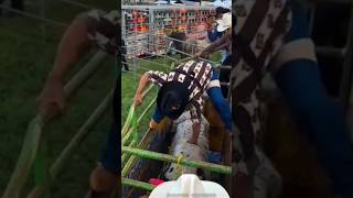 JARIPEO EXTREMO ALACRÁN DE QUERETARO VS TORO TALKING MONEY😱🔥🔥 jaripeo shorts [upl. by Llerrut667]