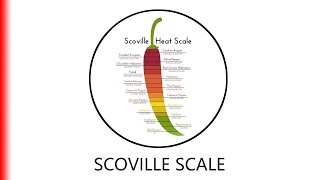 SCOVILLE SCALE [upl. by Raffo]